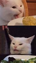 Image result for Serious Cat Meme