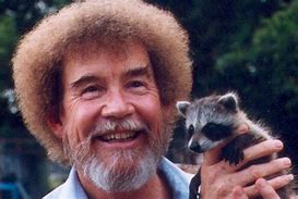 Image result for Bob Ross Baby Raccoon