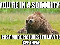 Image result for Cute Bear Memes