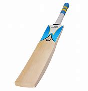 Image result for Cricket Items Images Bat