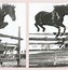Image result for James Barker Horse Trainer