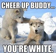 Image result for Funny Cheer Up Meme