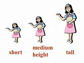 Image result for Short Height Clip Art