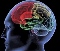 Image result for Brain Background GIF