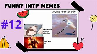 Image result for Funniest INTP Memes