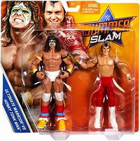 Image result for WWF Wrestling Action Figures