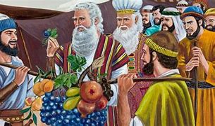 Image result for 12 Spies Biblical