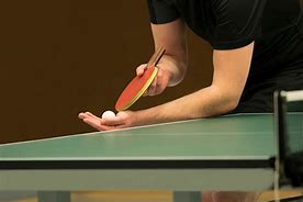 Image result for Ping Pong Table Tennis