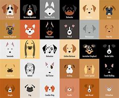 Hermosas ilustraciones minimalistas de varias razas de perro | Caracteres