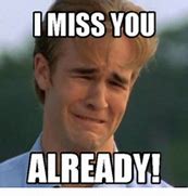Image result for Gonna Miss You Meme Bill Murray