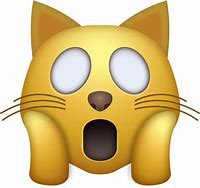 Image result for Shocked Cat Emohi Meme
