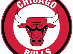 Image result for Chicago Bulls Cool Logo