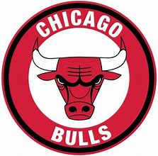 Image result for Chicago Bulls Logo Redesign