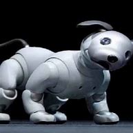 Image result for Aibo Robot Dog Beagle