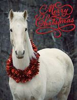 Image result for Happy Holidays Horse