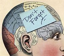 Image result for Short-Term Memory Techniques