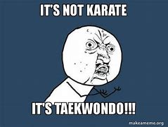 Image result for Taekwondo Memes