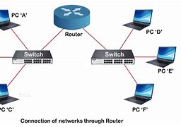 Image result for Switch vs Router