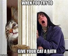 Image result for Cat Bathroom Yelling Meme