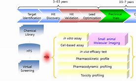 Image result for Early Drug Discovery