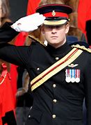 Image result for Prince Harry Military Service