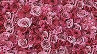 Image result for Rose Gold Background Wallpaper