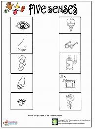 Image result for My 5 Senses Worksheet