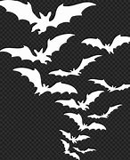 Image result for White Bat Silhouette