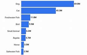 Image result for Pet Industry Growth