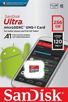 Image result for 256GB Micro SD Card