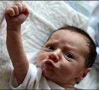 Image result for Baby Fist Mee