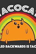 Image result for Taco Cat in Space