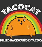 Image result for Taco Cat in Space