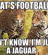 Image result for Funny Jaguar Memes