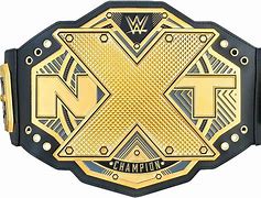 Image result for WWE NXT Championship Belt