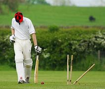 Image result for Types of Wickets