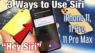 Image result for iPhone 11 Pro Siri