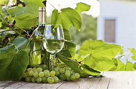 Image result for White Wine Made From Green Grapes