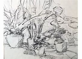 Image result for Graphite Still Life Drawings