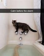 Image result for Calm Before the Storm Meme
