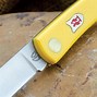 Image result for Yellow Pocket Knife
