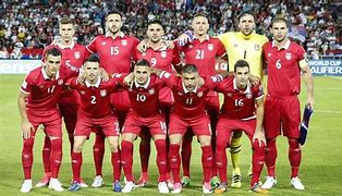 Image result for Serbia Players