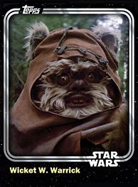 Image result for Wicket W. Warrick Ewok Anime