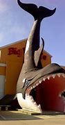 Image result for Old Florida Roadside Attractions