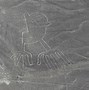 Image result for Nazca Lines