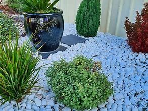 Image result for White Pebbles in Front Garden Bed