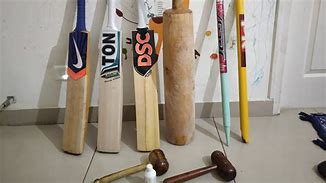 Image result for Cricket Bat Side View