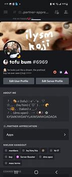 Image result for Discord Usernames and PFP