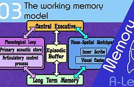 Image result for Components of Working Memory
