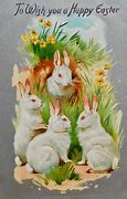 Image result for Silly Rabbit Art